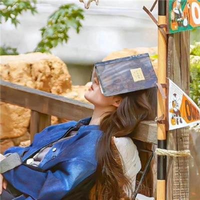 企鹅之岛：福克兰