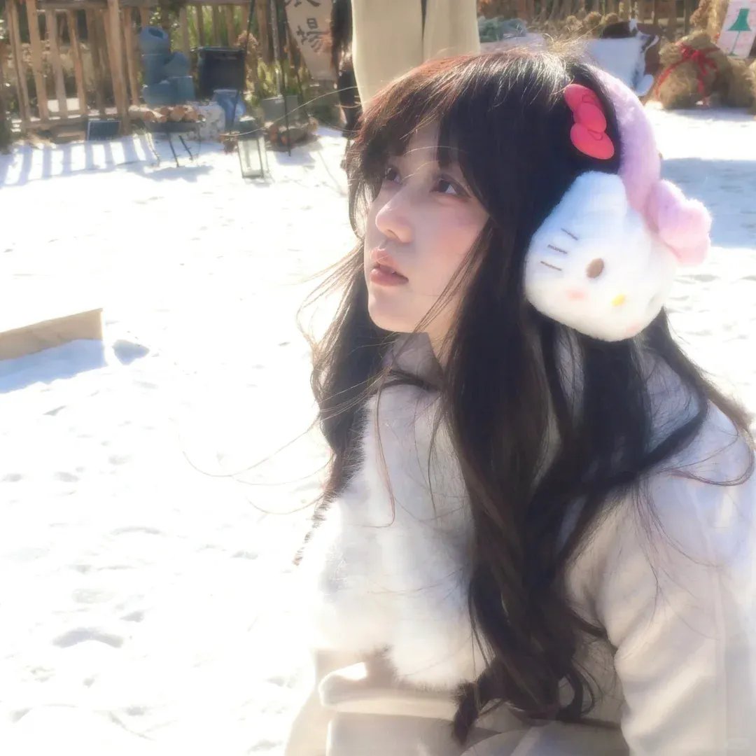 肥瑞的疯狂日记第一季